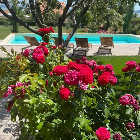 Omega Σπίτι διακοπών